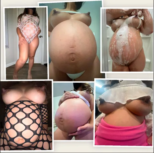 Thumbnail Picture Perfect: analasianx's View of PreggoPorn