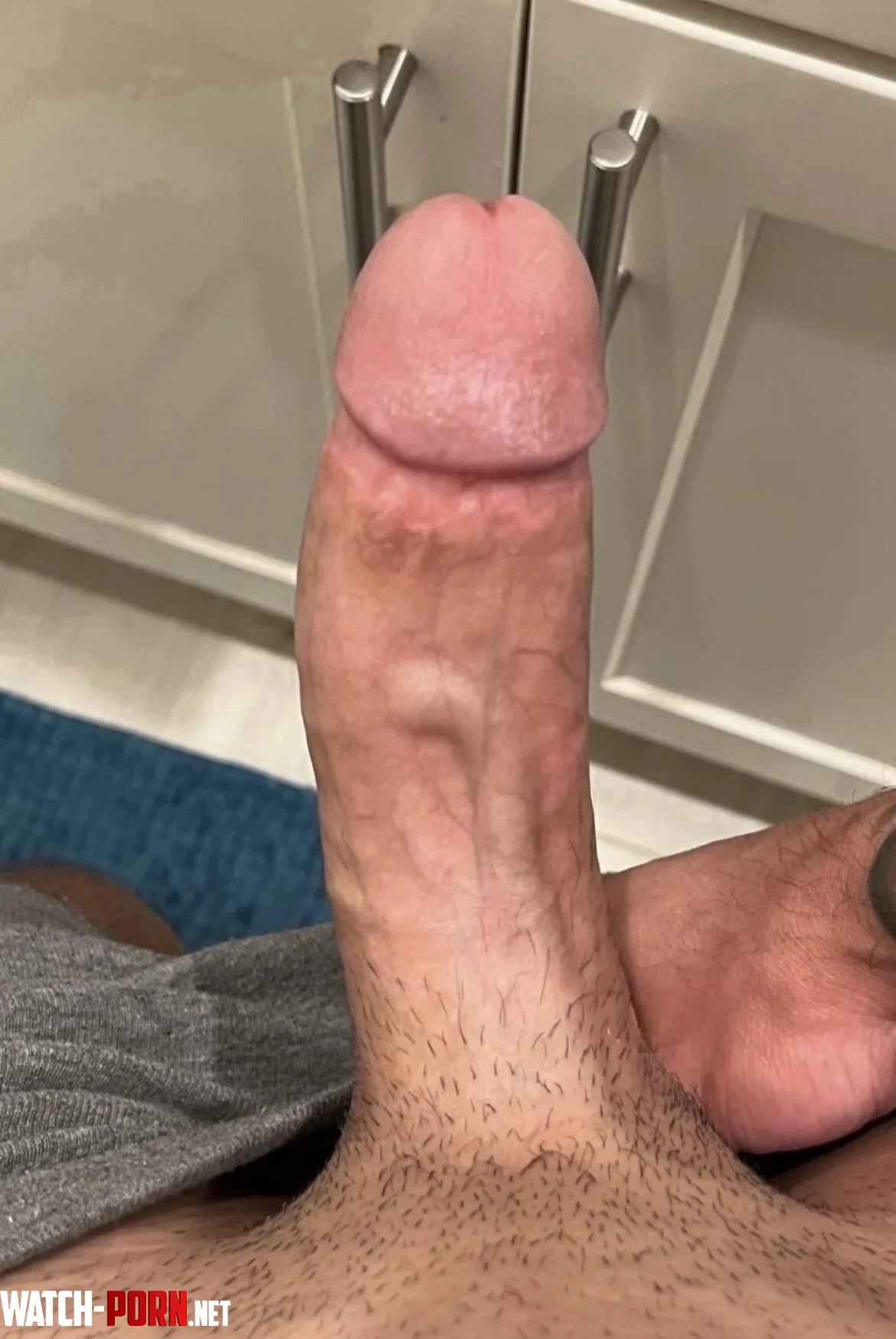 My thick cock loves BREEDING  by TheeGuyDerek