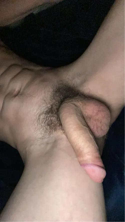 Thumbnail Squeeze My Hairy Balls: A Playful Invitation at 21 - lewisjackson85