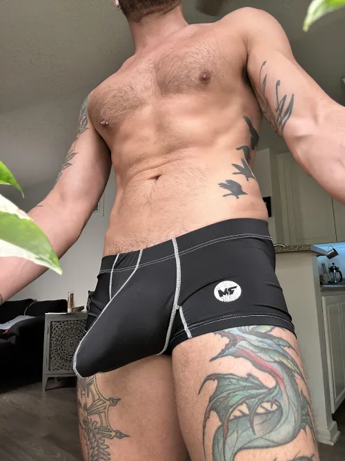 Thumbnail Notorious_dani_boy Excuses His Bulge - Find Out How!