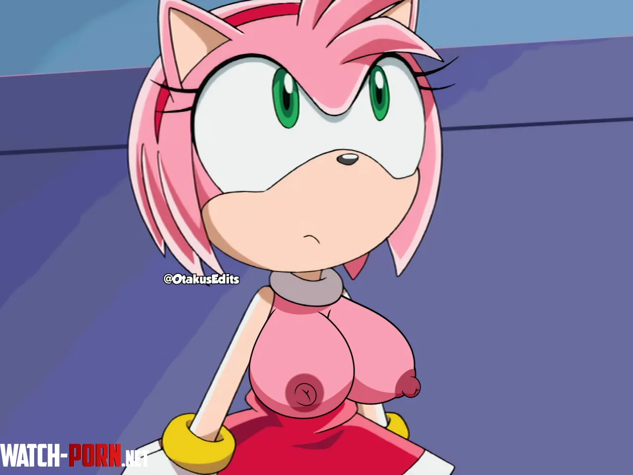 Amy Rose OtakusEdits by AlgoParaOtakus