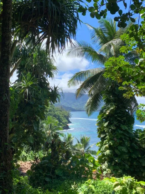 Thumbnail Discovering Hawaii's Breathtaking Ocean View by colapepsikinnie | beach