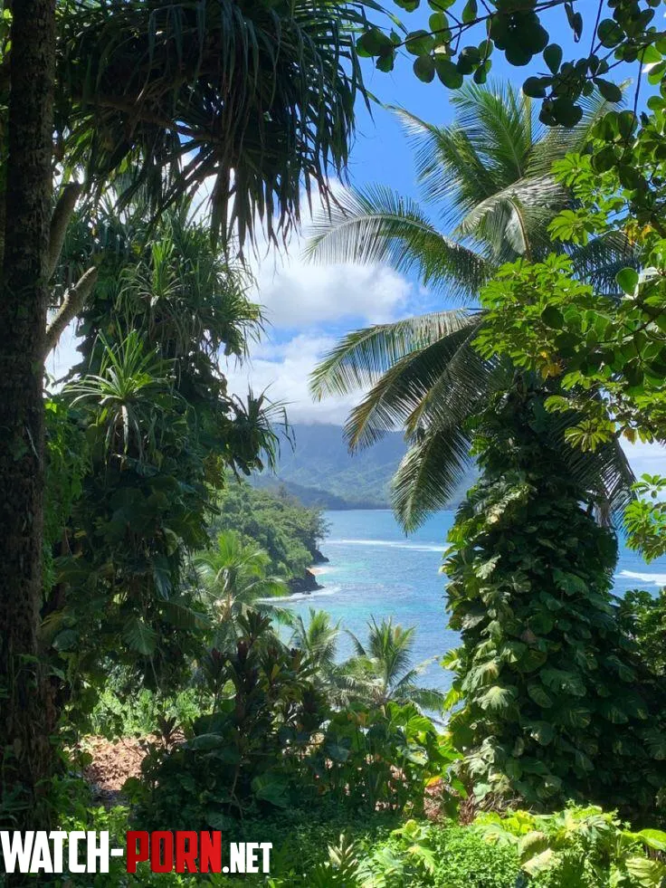 Ocean view in hawaii  by colapepsikinnie