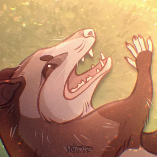 Thumbnail Opossum Appreciation Post - by Nuthetes26