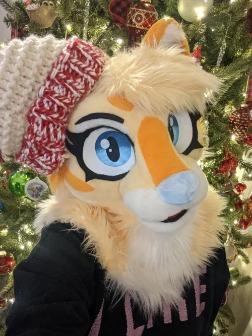 Thumbnail MsBidoof Wishes Meowy Christmas | Furry Category Celebration