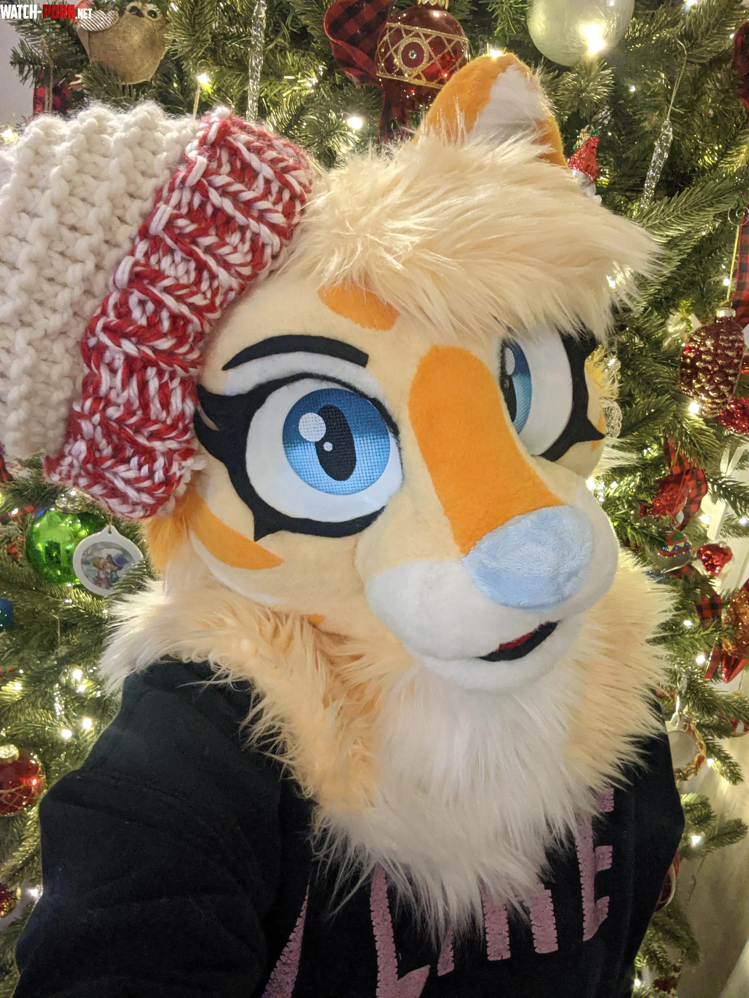 Hope everyone had a Meowy Christmas and has a Happy Mew Year Whatd you guys get by MsBidoof