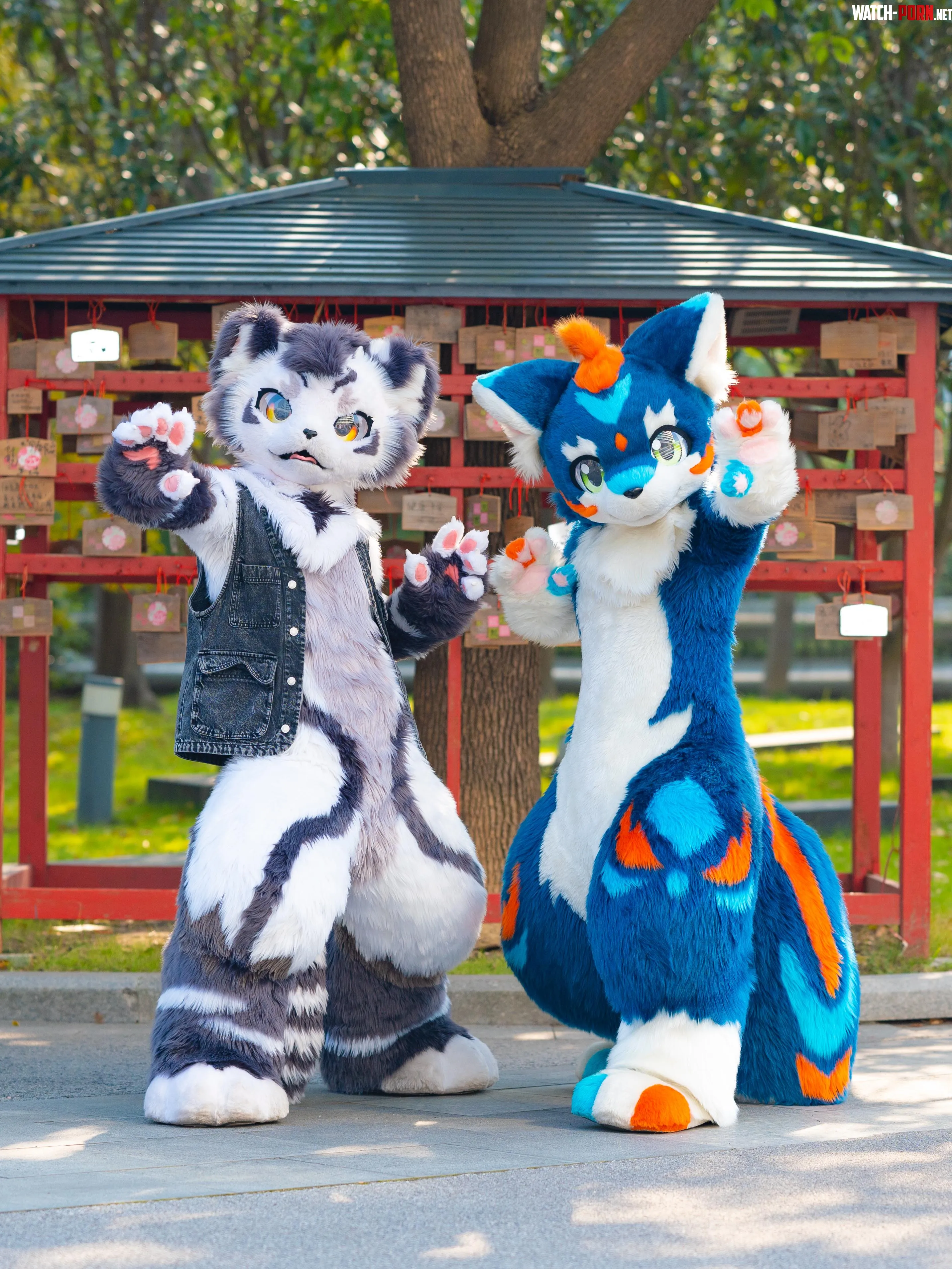 I forgot the last FursuitFriday  Lets end the year with a photo with RION  by FurryGintan