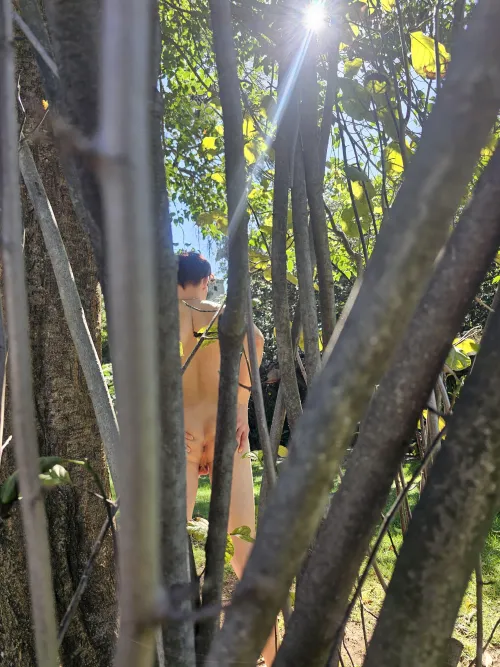 Thumbnail typicalboynextdoor12 boldly shares spreading my goods in the woods | TwinkLove