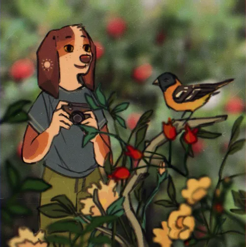 Thumbnail 'Birding' - A Unique Art Piece by -potatosoup in the Furry Category