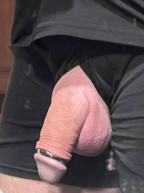 Thumbnail Posting My Cock by 7x6-67 | Penis Category