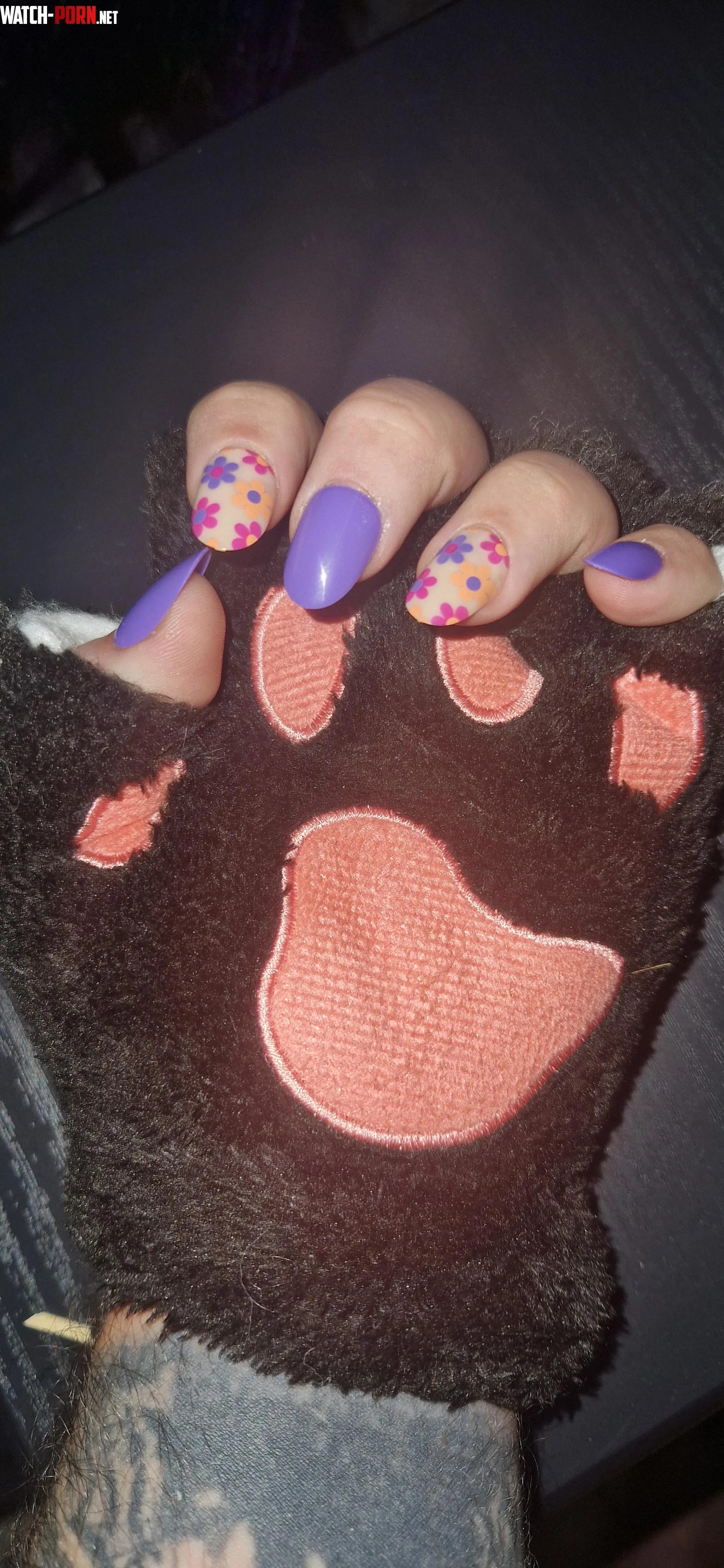 Finally received my new cat gloves  by AryaChacha