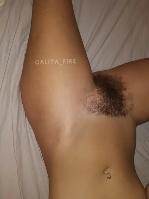 Thumbnail Can't Stop Staring: A Hairywomenaresexy Article by Calita_fire