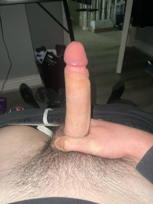 Thumbnail Honest Ratings Wanted: 19M Pics Offered by Hung-Daddy1234