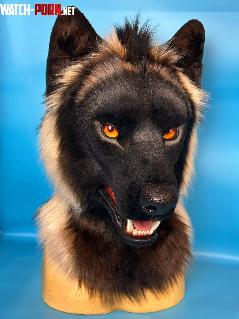 I forgot to post here my latest fursuit craft  a realistic wolf  by Kay-Ra