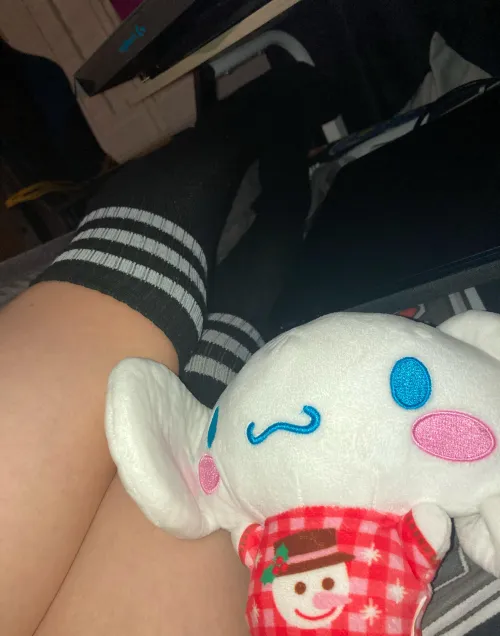 Thumbnail Femboy Thighs and Cinnamaroll by confus3dCritt3r in femboy Category