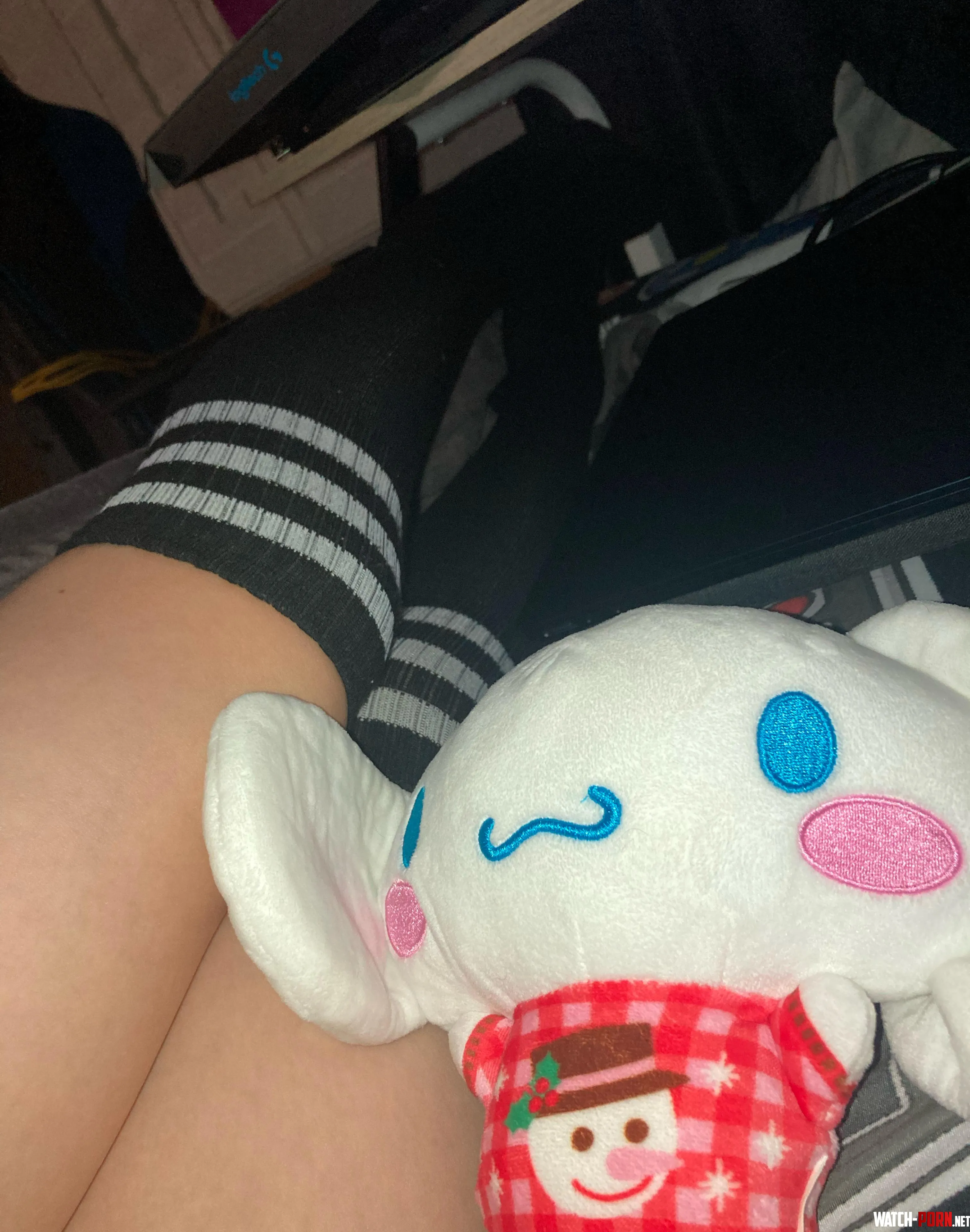 Just some femboy thighs and cinnamaroll by confus3dCritt3r