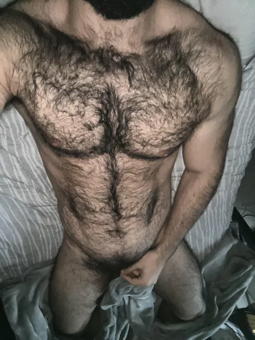 Thumbnail What Caught Your Attention First? Dive into insanelyhairymen