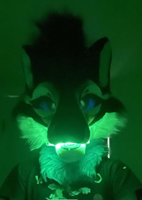 Thumbnail Glowstick Discovery: An Intriguing Tale by karakurts in furry