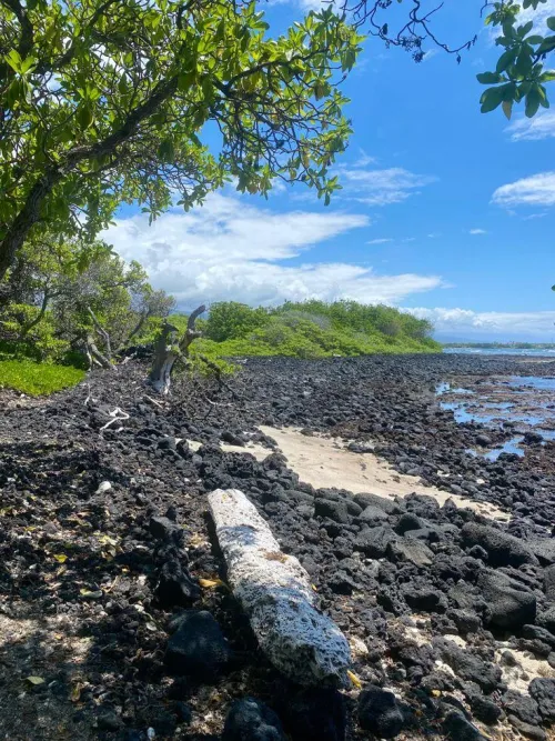 Thumbnail Stunning Views of Rocky Hawaii Beach by colapepsikinnie