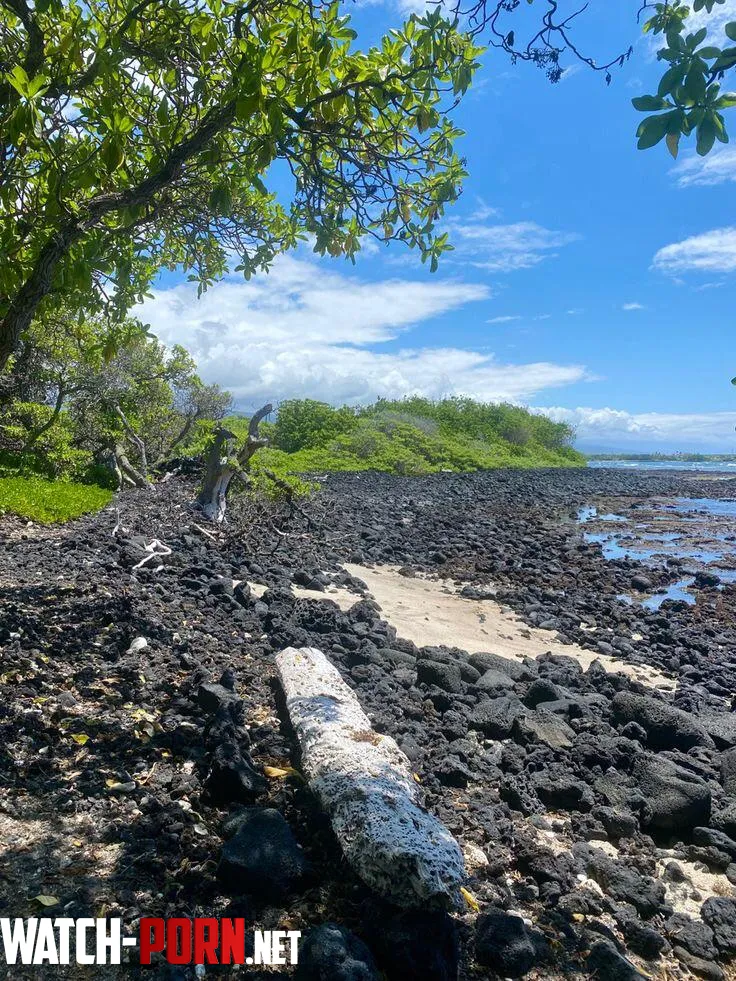 Rocky hawaii beach  by colapepsikinnie