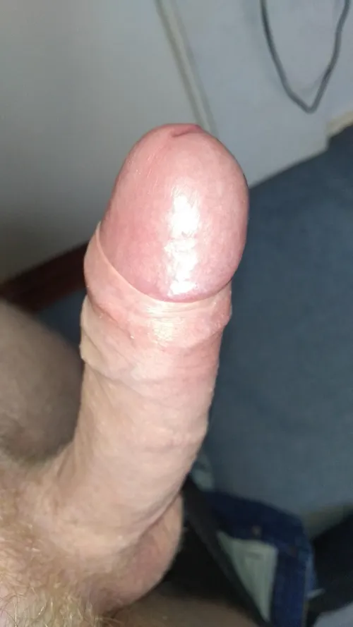 Thumbnail Capturing the Final Pic of the Year | Author haanj86 | Foreskin Reflection