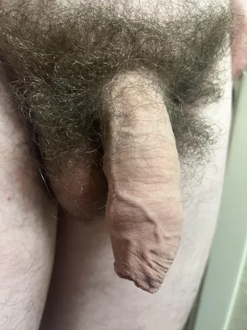 Thumbnail My Hairy Uncut American Softie by Crazy-Leg-8179 in Foreskin Category