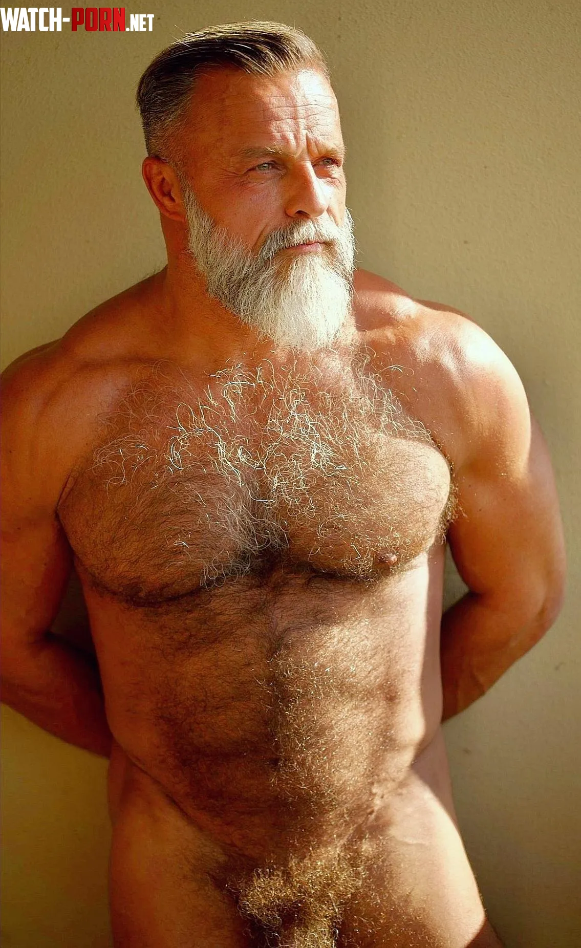 This insanely hairy silver fox of a DILF I found in Tumblr  by SaonYuuhi