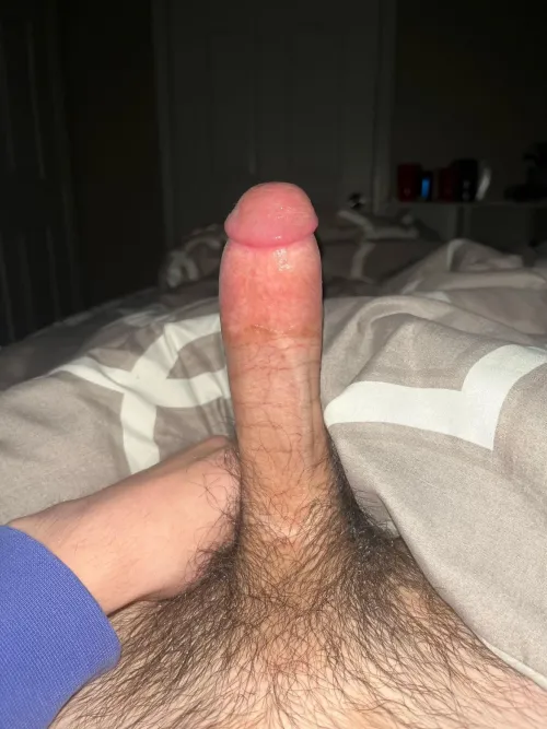 Thumbnail 21 and Straight - Explore StayConstant2805's Experience with Penis