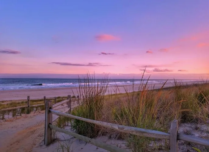 Thumbnail Surf City NJ: StarfishandOctopus90 Shares Beach Adventures