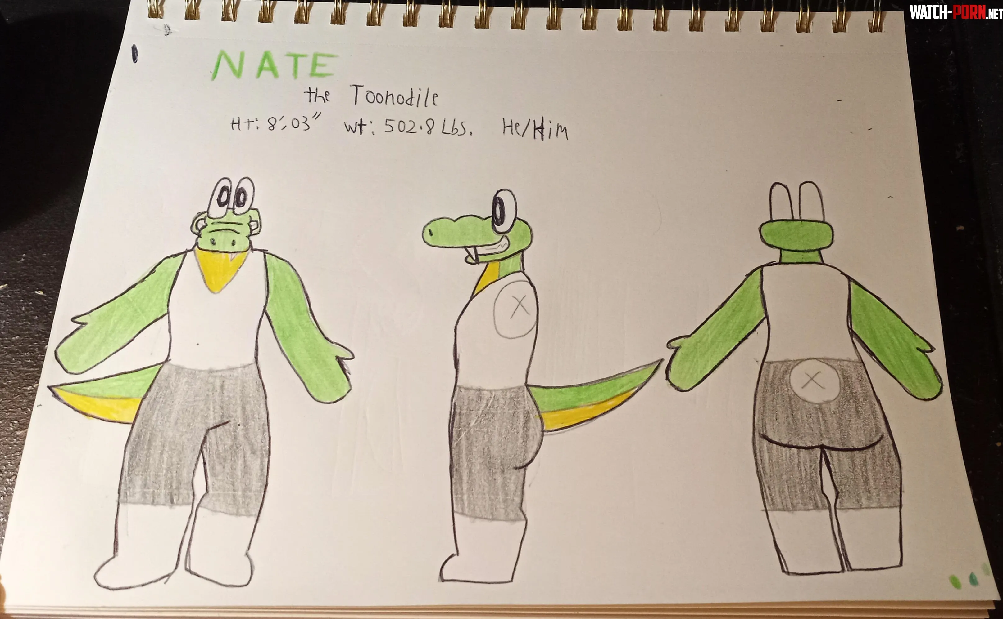 Nate the Toonodile ref sheet 2025 by AlyksTheSage