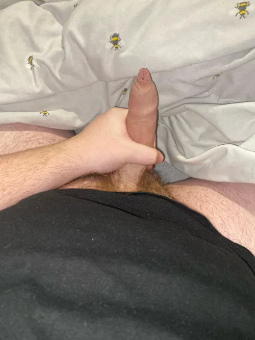 Thumbnail M27 UK Shared Experience on Foreskin | foreskin