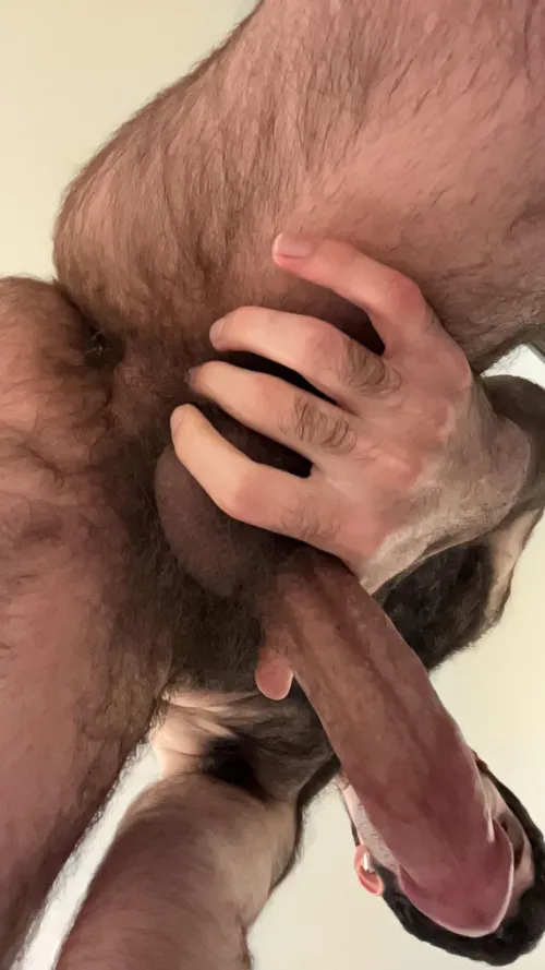 Thumbnail New Year, Same Furry Fun: Embracing the Wild Side by throwaway_12791279 | insanelyhairymen