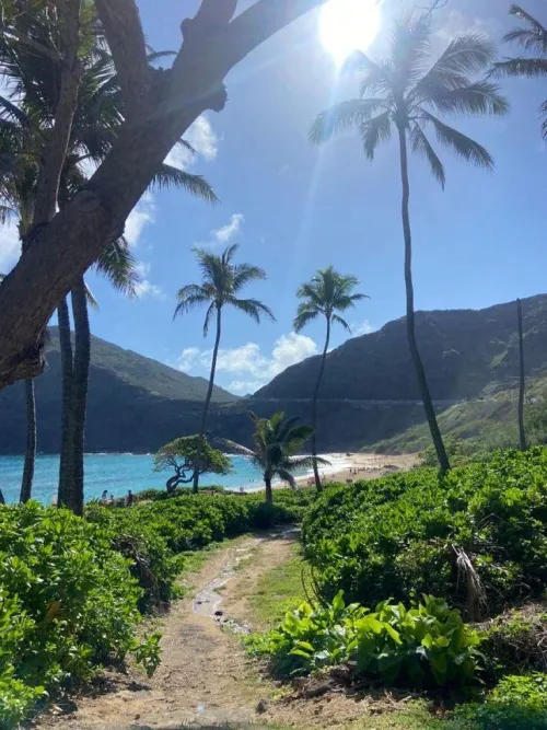 Thumbnail Tropical Paradise: colapepsikinnie's Hawaiian Adventure | beach