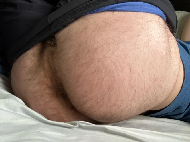 Thumbnail Appreciating My Big Hairy Bro Butt by Broanon20