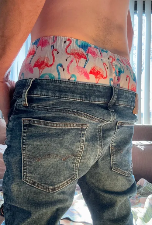 Thumbnail Exploring Boxershorts Styles: Flamingos by boxersexplorer