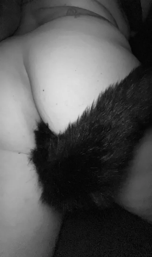 Thumbnail Let Me Be Your Kitten: TraditionCareless536's Pet Play Journey