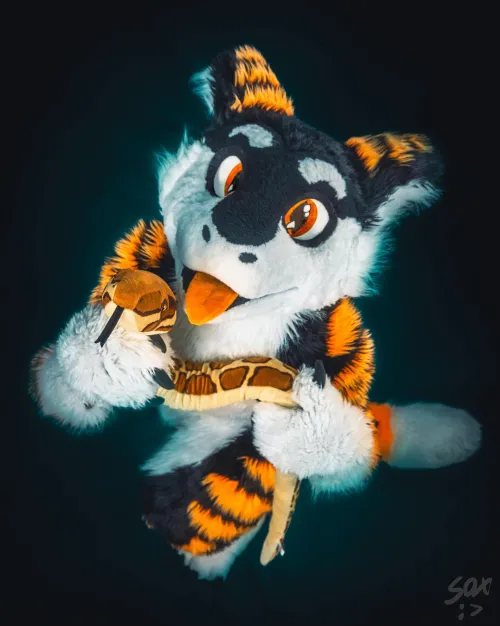 Thumbnail SilySox explores the 'Year of da Snek gt' in the furry world | furry