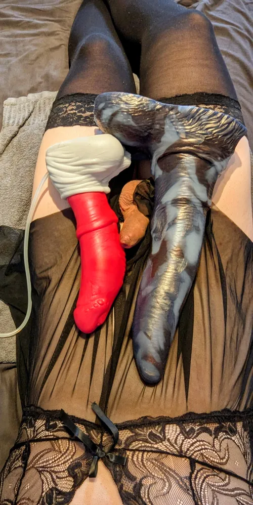 Thumbnail Size Comparison: XL Echo vs. XL Sveinn in BadDragon Collection