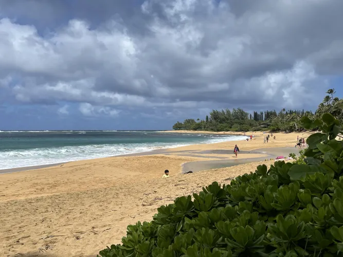 Thumbnail Kauai Beauty Unveiled: KFTrandahl's Beach Adventure