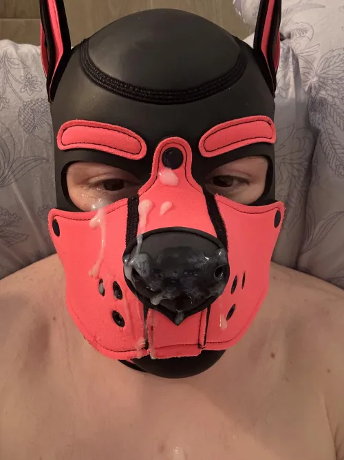 Thumbnail Sensory Overload: Sticky Muzzle Delights by Pup_Zarrk