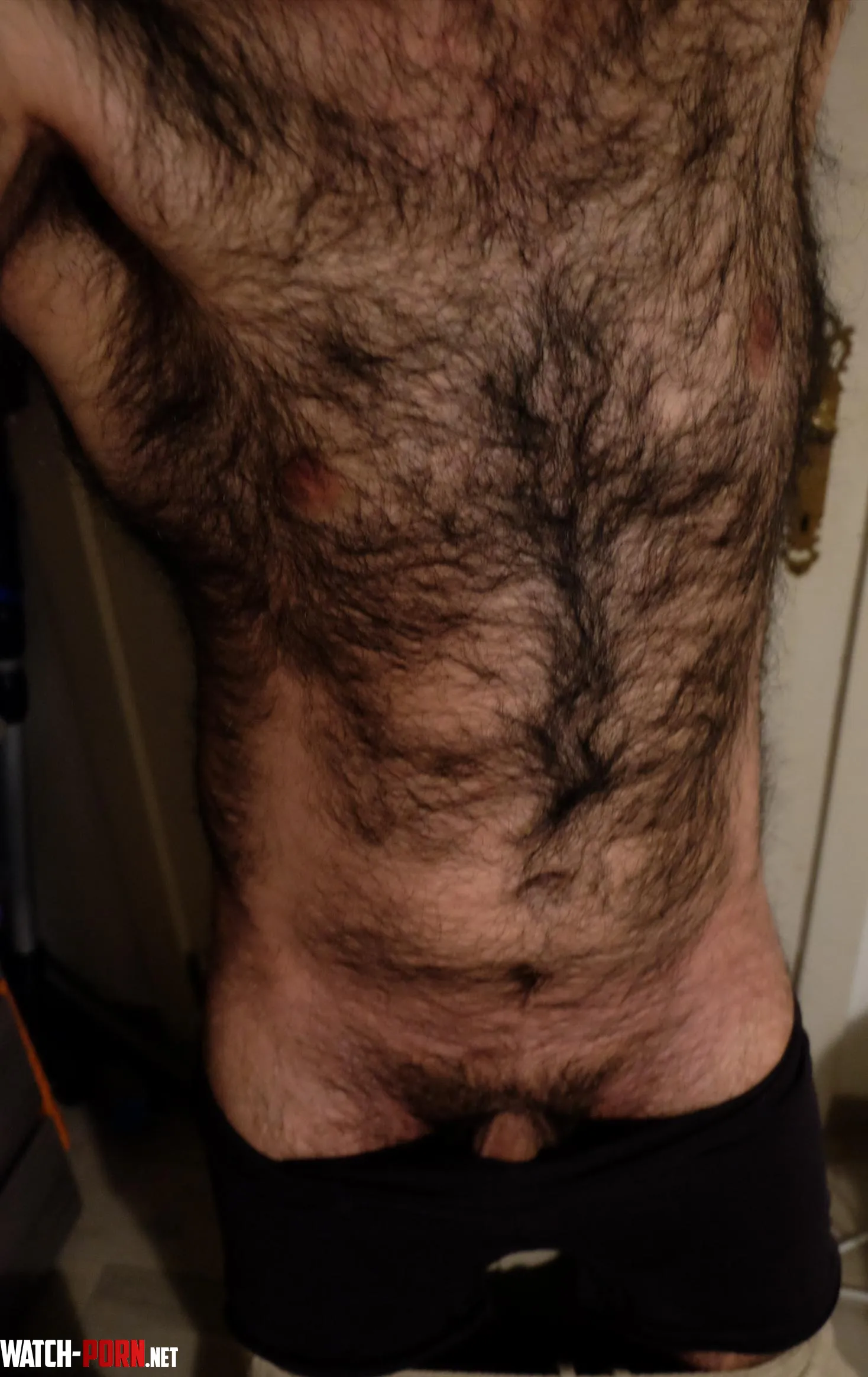 Cuddle my hairy chest and my hairy body  Also sniff my manly perfume by Hairypanter