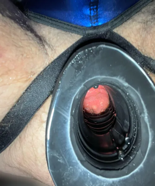 Thumbnail XXL Pig Hole: Exploring New Depths - InTraining2020 | MenWithToys