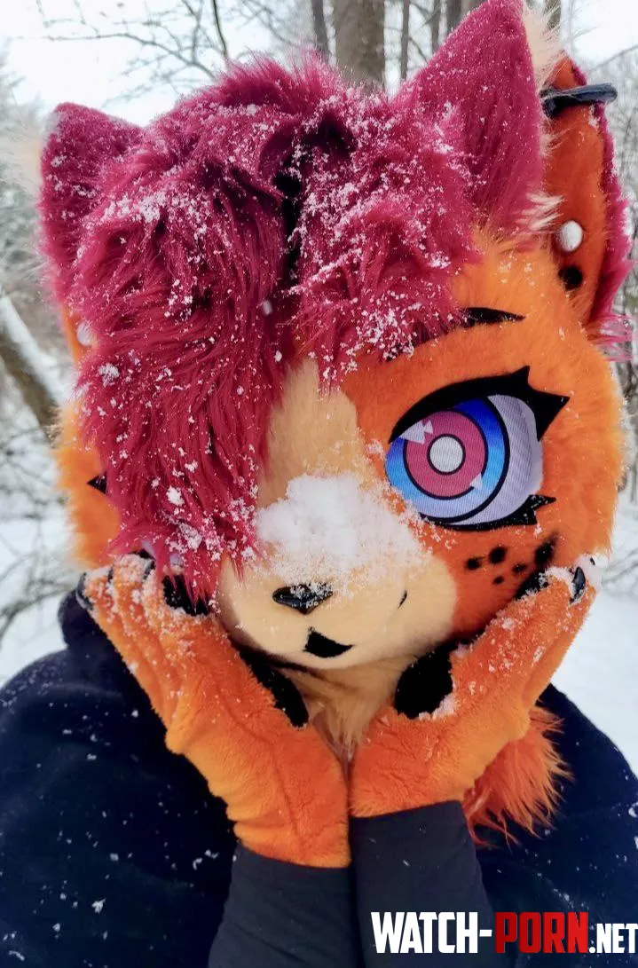 Snowcovered skunk  by topfrop