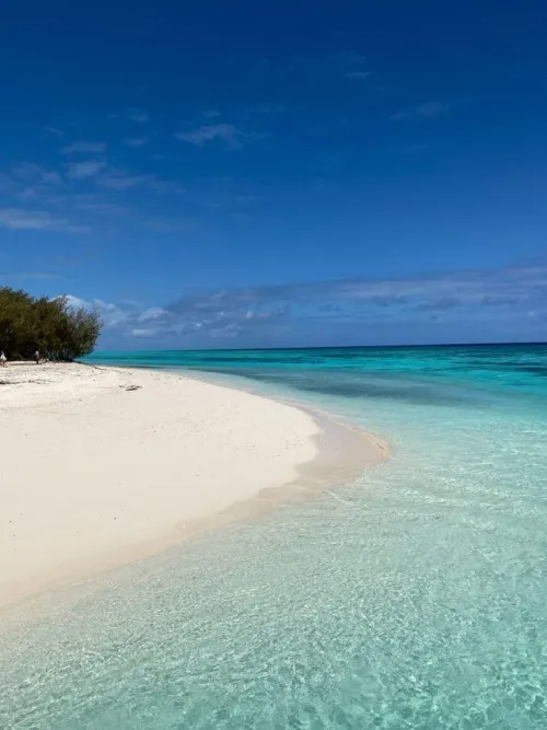 Thumbnail Discover the Beauty of Heron Island, Australia with yeuxdusphynx