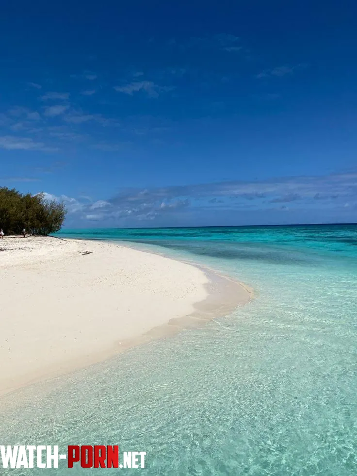 Heron islandAustralia by yeuxdusphynx