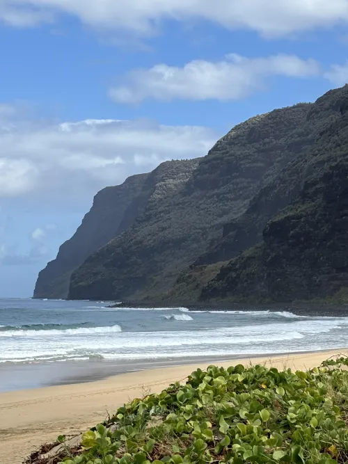 Thumbnail Honopu Beach Kauai - Coastal Wonders Revealed by not_yr_avg_jo