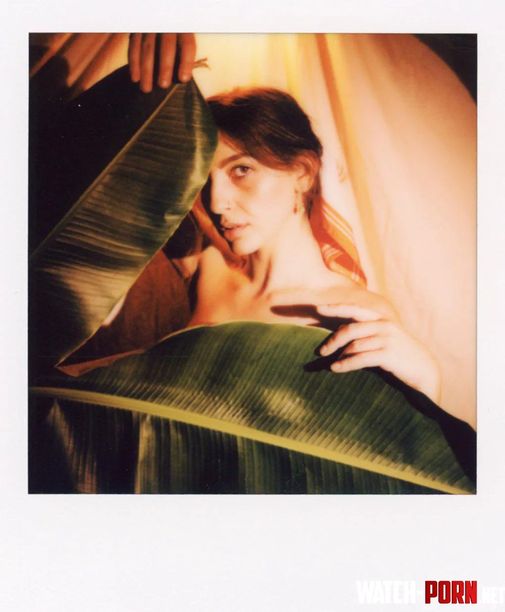 plant lady on Polaroid   by sydweav