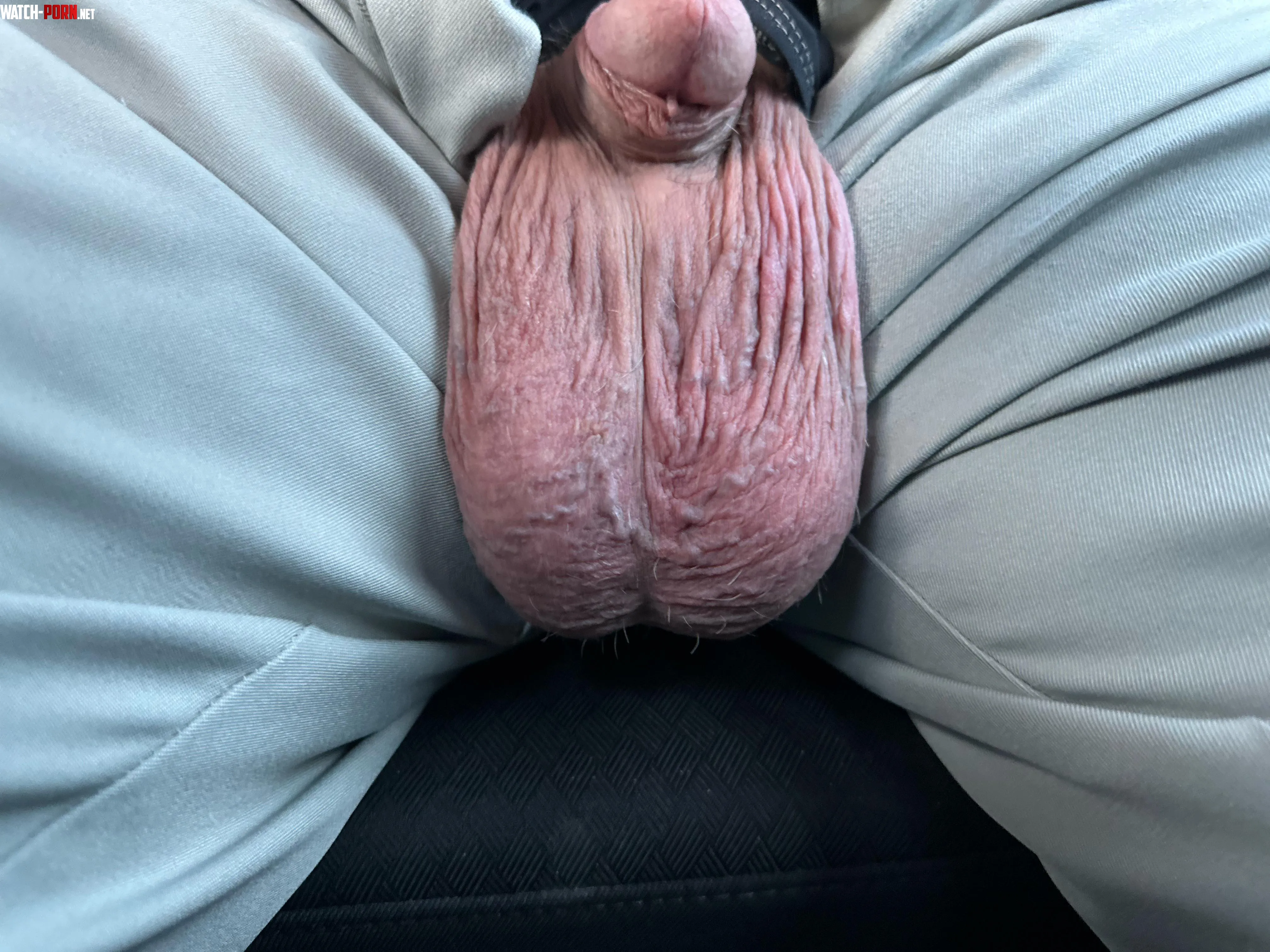 Full low hangers 51 driving home and horny by Big_ballsb