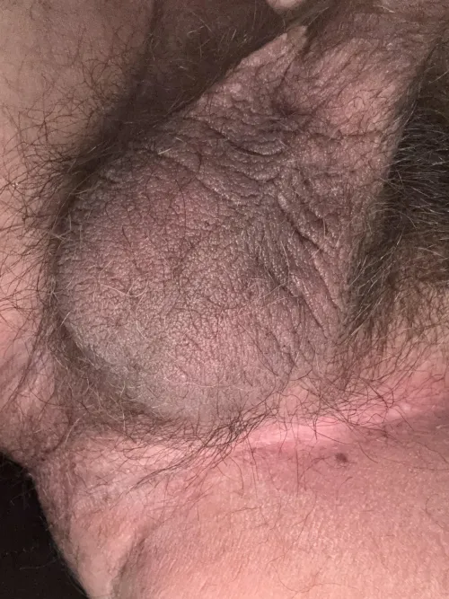 Thumbnail Hairy, Wrinkly, and Tight: The Trifecta of Balls | Nice-Indication9616