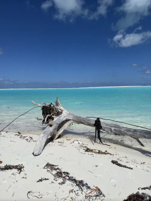 Thumbnail Exuma Bahamas: A Stunning Beach Escape by Admirable-Boat-5318